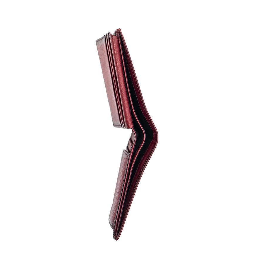 Carteira 4187 c/ Porta Moedas