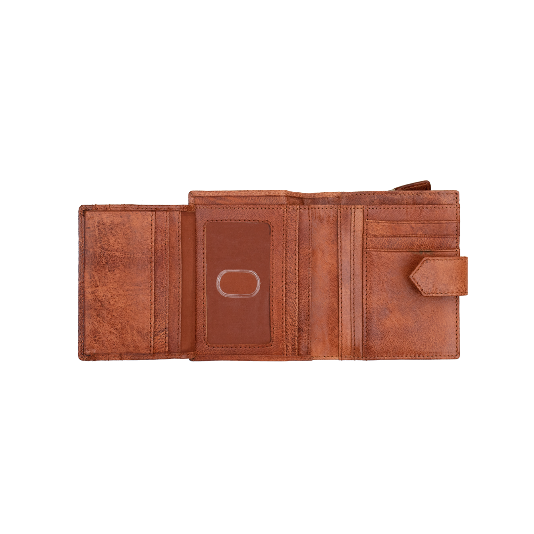 Carteira de Senhora 3601