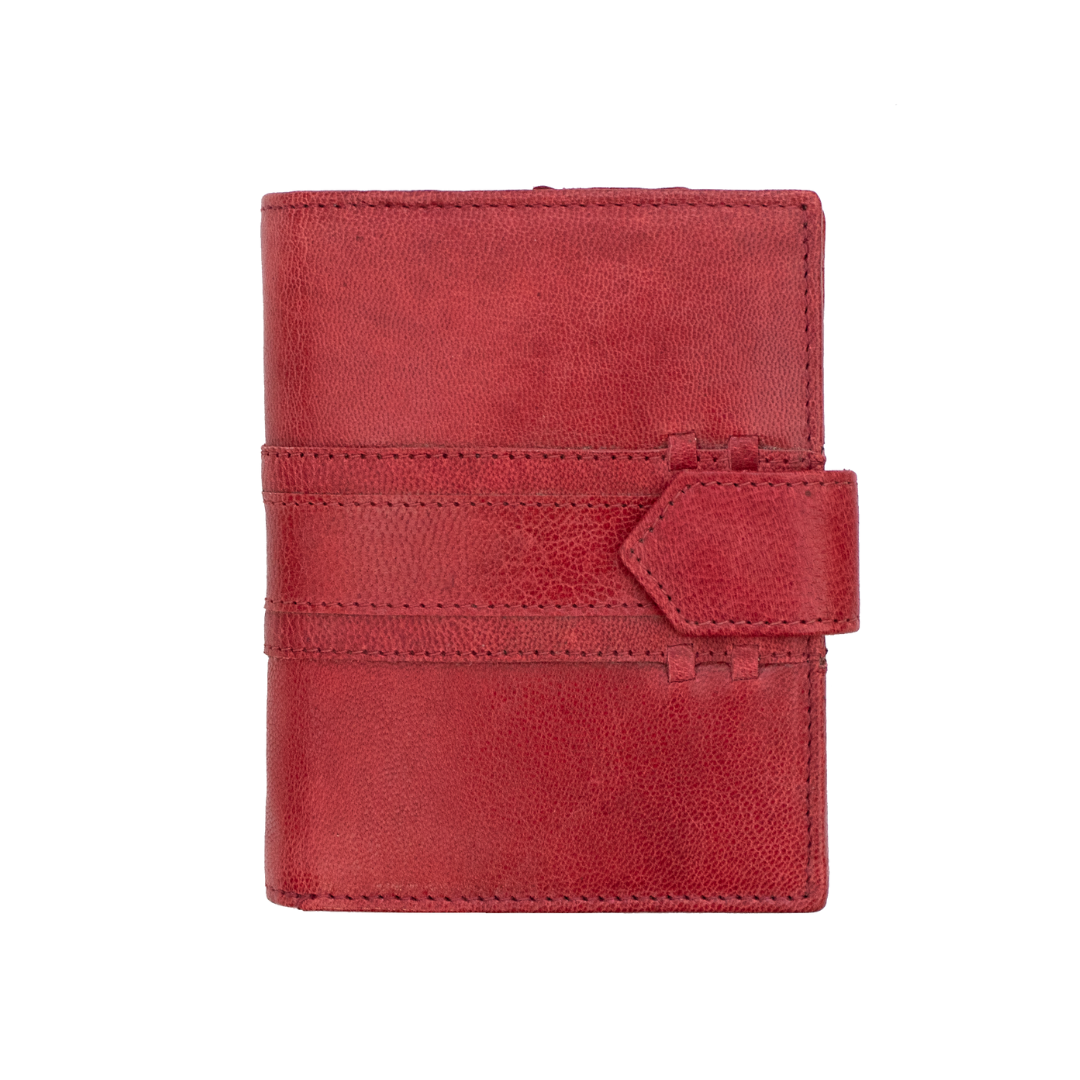 Carteira de Senhora 3601